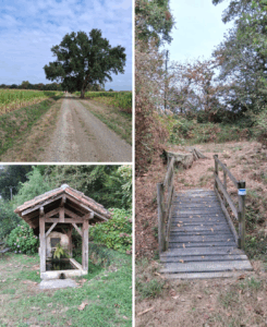 Les Bascos,association,LGBT+